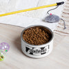 Pet Bowl 724